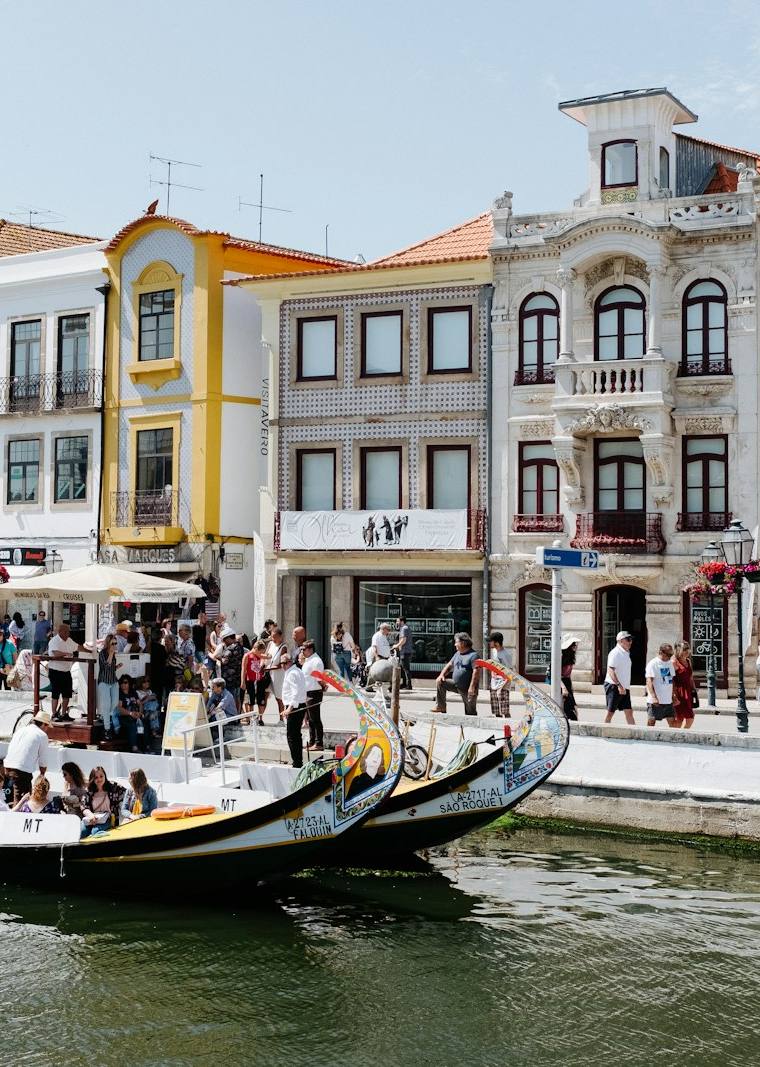 Capa do artigo: Desenvolvimento de Software em Aveiro: Como Escolher a Empresa Certa